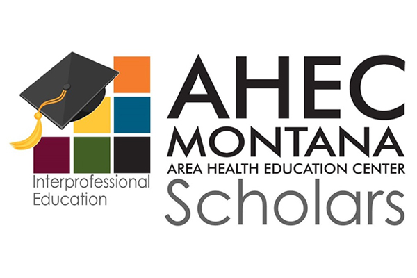 ahec scholars interprofessional education